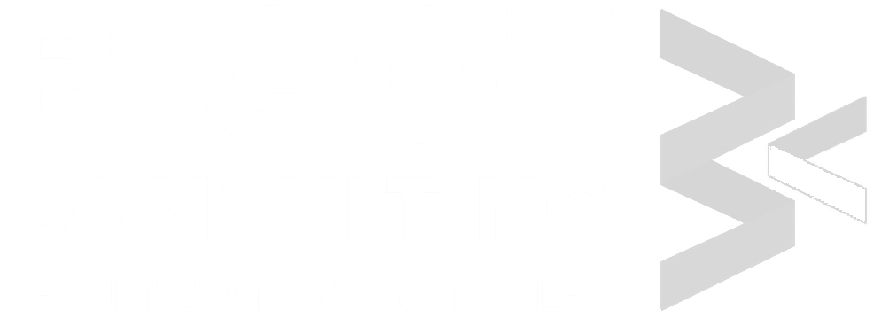 Bigot Consulting International